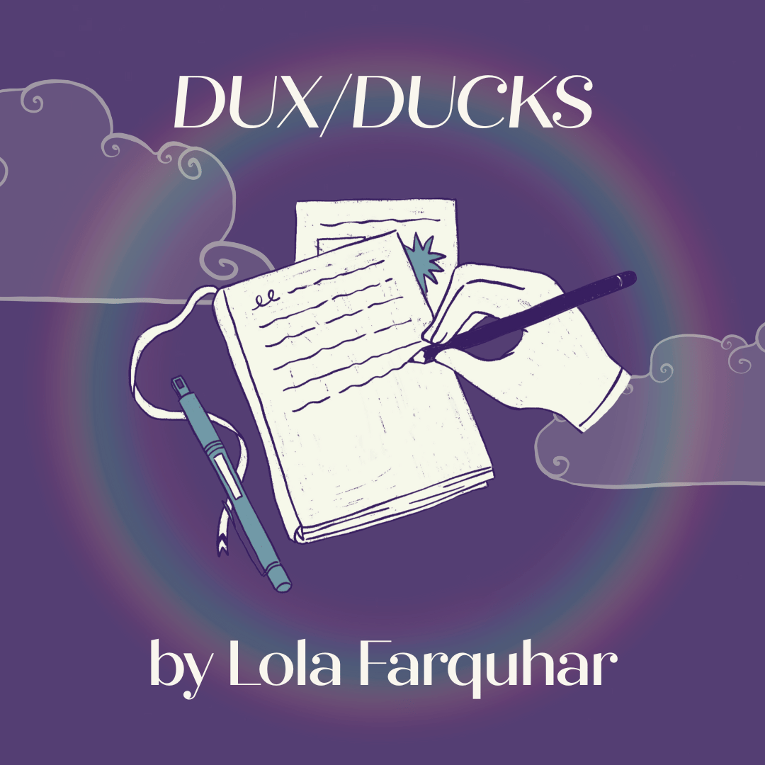 Dux_ducks